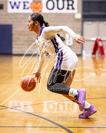 DP3_VNN_20240223_Lake_Stevens_v_skyview_Girls_state_BB_0021-CR3