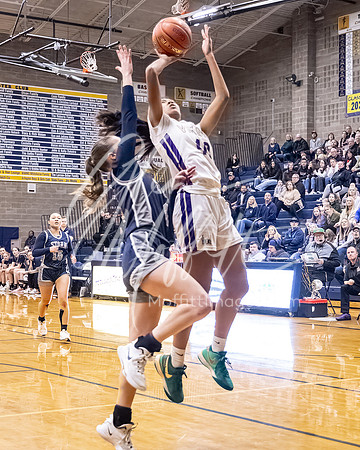 DP3_VNN_20240223_Lake_Stevens_v_skyview_Girls_state_BB_0256-CR3