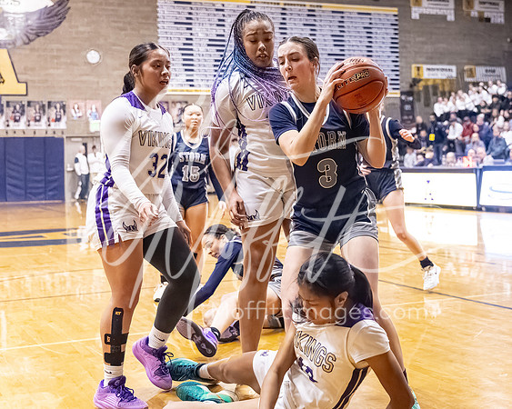 DP3_VNN_20240223_Lake_Stevens_v_skyview_Girls_state_BB_0239-CR3