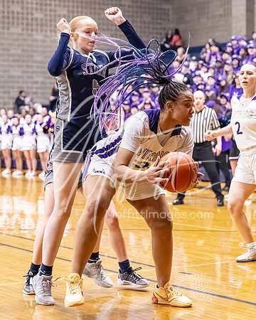DP3_VNN_20240223_Lake_Stevens_v_skyview_Girls_state_BB_0283-CR3