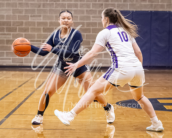 DP3_VNN_20240223_Lake_Stevens_v_skyview_Girls_state_BB_0310-CR3