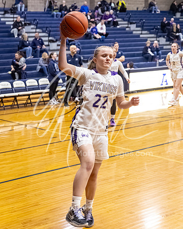 DP3_VNN_20240223_Lake_Stevens_v_skyview_Girls_state_BB_0562-CR3