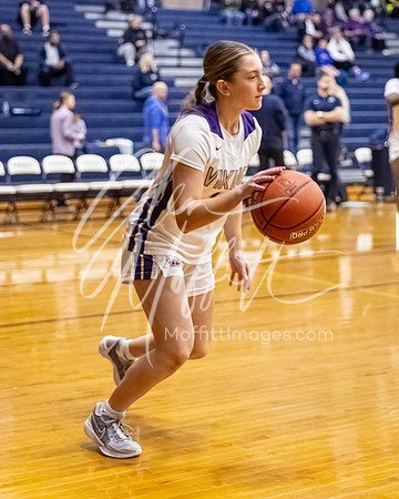 DP3_VNN_20240223_Lake_Stevens_v_skyview_Girls_state_BB_0594-CR3