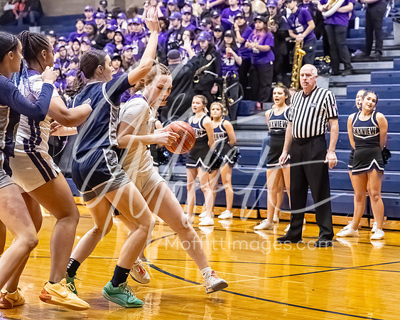 DP3_VNN_20240223_Lake_Stevens_v_skyview_Girls_state_BB_0874-CR3