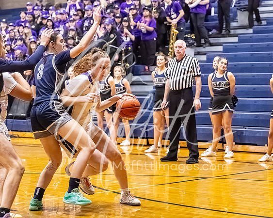 DP3_VNN_20240223_Lake_Stevens_v_skyview_Girls_state_BB_0875-CR3