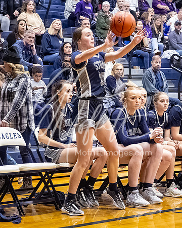DP3_VNN_20240223_Lake_Stevens_v_skyview_Girls_state_BB_0922-CR3