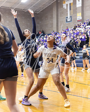 DP3_VNN_20240223_Lake_Stevens_v_skyview_Girls_state_BB_0953-CR3