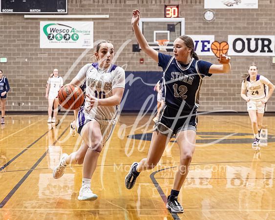 DP3_VNN_20240223_Lake_Stevens_v_skyview_Girls_state_BB_0970-CR3