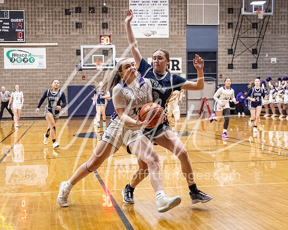 DP3_VNN_20240223_Lake_Stevens_v_skyview_Girls_state_BB_0974-CR3