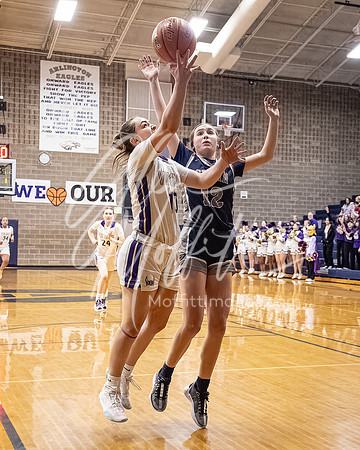 DP3_VNN_20240223_Lake_Stevens_v_skyview_Girls_state_BB_0978-CR3