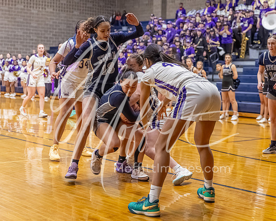 DP3_VNN_20240223_Lake_Stevens_v_skyview_Girls_state_BB_1045-CR3