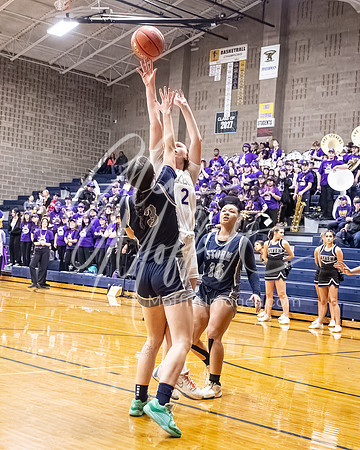DP3_VNN_20240223_Lake_Stevens_v_skyview_Girls_state_BB_1088-CR3