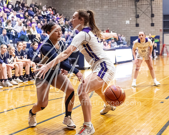 DP3_VNN_20240223_Lake_Stevens_v_skyview_Girls_state_BB_1121-CR3