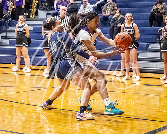 DP3_VNN_20240223_Lake_Stevens_v_skyview_Girls_state_BB_1168-CR3