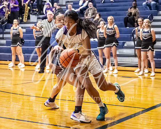 DP3_VNN_20240223_Lake_Stevens_v_skyview_Girls_state_BB_1174-CR3