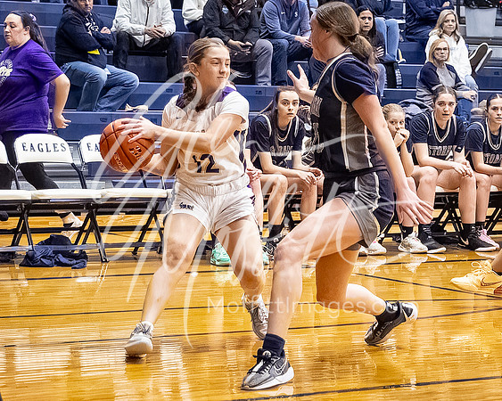 DP3_VNN_20240223_Lake_Stevens_v_skyview_Girls_state_BB_1214-CR3