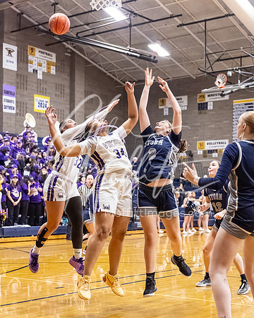 DP3_VNN_20240223_Lake_Stevens_v_skyview_Girls_state_BB_1260-CR3