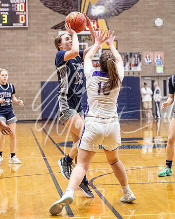 DP3_VNN_20240223_Lake_Stevens_v_skyview_Girls_state_BB_1296-CR3