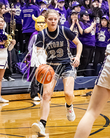 DP3_VNN_20240223_Lake_Stevens_v_skyview_Girls_state_BB_1509-CR3