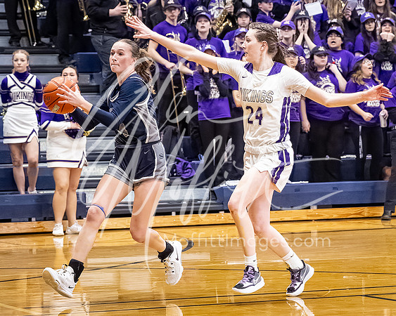DP3_VNN_20240223_Lake_Stevens_v_skyview_Girls_state_BB_1560-CR3
