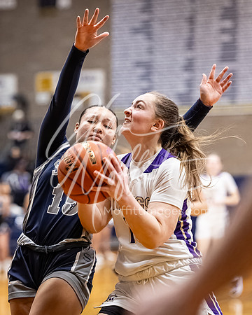 DP3_VNN_20240223_Lake_Stevens_v_skyview_Girls_state_BB_1619-CR3