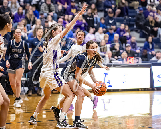 DP3_VNN_20240223_Lake_Stevens_v_skyview_Girls_state_BB_1746-CR3