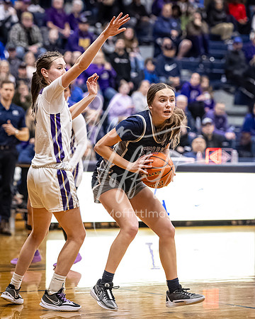 DP3_VNN_20240223_Lake_Stevens_v_skyview_Girls_state_BB_1750-CR3