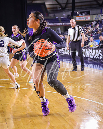 VNN_20240228_Lake_Stevens_v_gonzaga_prep_Girls_state_BB_0139
