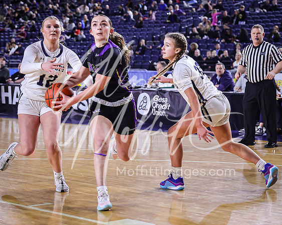 VNN_20240228_Lake_Stevens_v_gonzaga_prep_Girls_state_BB_0192