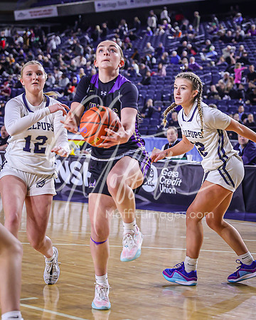VNN_20240228_Lake_Stevens_v_gonzaga_prep_Girls_state_BB_0193