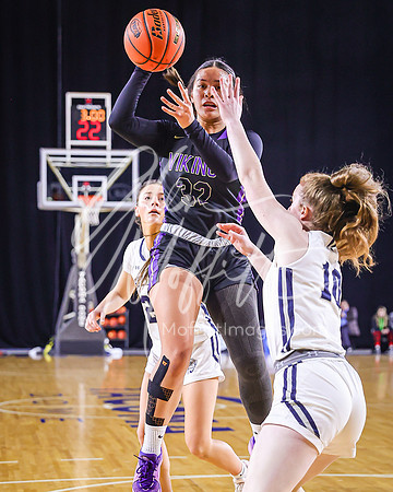 VNN_20240228_Lake_Stevens_v_gonzaga_prep_Girls_state_BB_0256