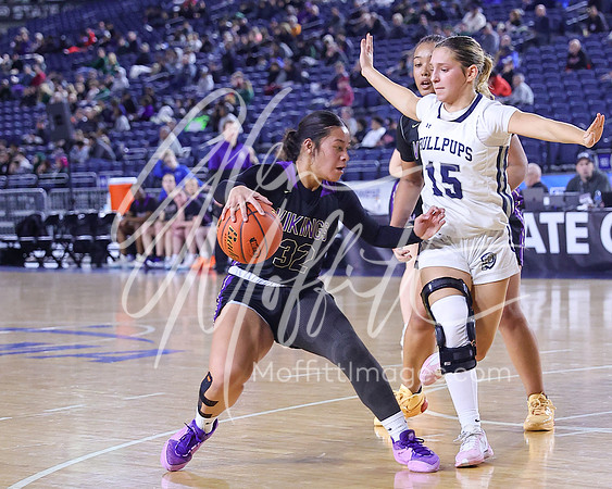 VNN_20240228_Lake_Stevens_v_gonzaga_prep_Girls_state_BB_0335