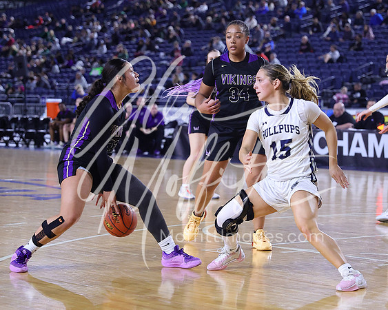 VNN_20240228_Lake_Stevens_v_gonzaga_prep_Girls_state_BB_0337