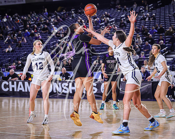 VNN_20240228_Lake_Stevens_v_gonzaga_prep_Girls_state_BB_0343