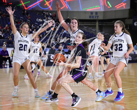 VNN_20240228_Lake_Stevens_v_gonzaga_prep_Girls_state_BB_0443