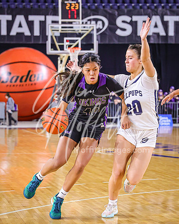 VNN_20240228_Lake_Stevens_v_gonzaga_prep_Girls_state_BB_0481
