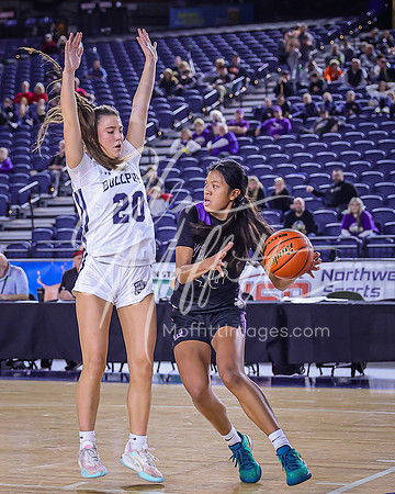 VNN_20240228_Lake_Stevens_v_gonzaga_prep_Girls_state_BB_0515