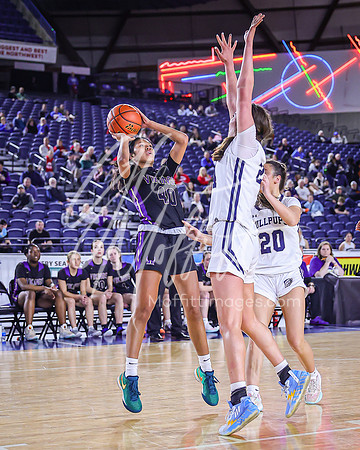 VNN_20240228_Lake_Stevens_v_gonzaga_prep_Girls_state_BB_0608