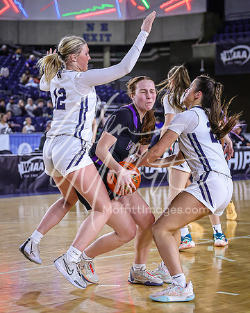VNN_20240228_Lake_Stevens_v_gonzaga_prep_Girls_state_BB_0637