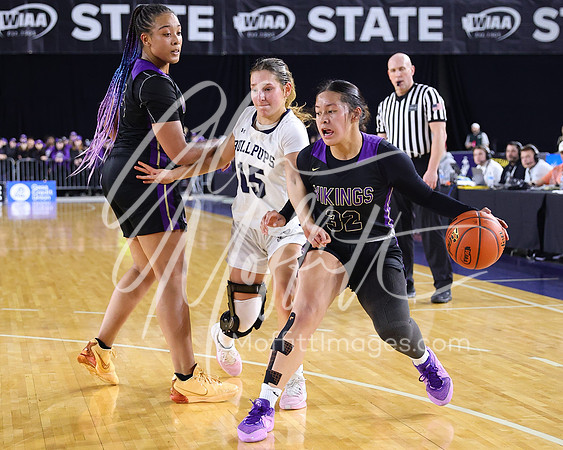 VNN_20240228_Lake_Stevens_v_gonzaga_prep_Girls_state_BB_0668