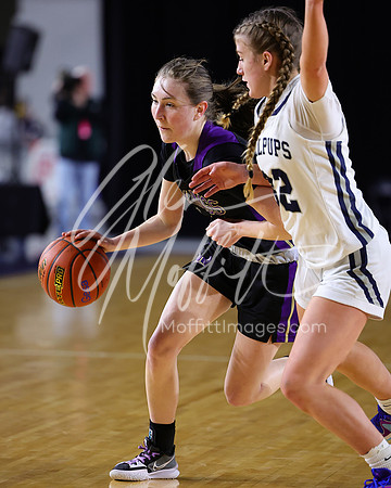 VNN_20240228_Lake_Stevens_v_gonzaga_prep_Girls_state_BB_0986