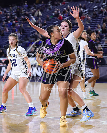 VNN_20240228_Lake_Stevens_v_gonzaga_prep_Girls_state_BB_1072