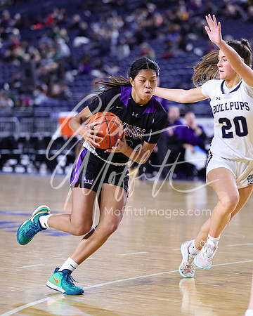 VNN_20240228_Lake_Stevens_v_gonzaga_prep_Girls_state_BB_1157