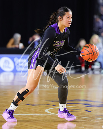VNN_20240228_Lake_Stevens_v_gonzaga_prep_Girls_state_BB_1180