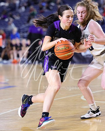 VNN_20240228_Lake_Stevens_v_gonzaga_prep_Girls_state_BB_1431