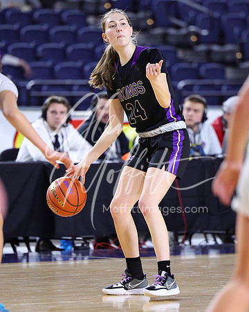 VNN_20240228_Lake_Stevens_v_gonzaga_prep_Girls_state_BB_1502