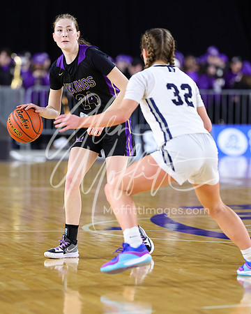 VNN_20240228_Lake_Stevens_v_gonzaga_prep_Girls_state_BB_1582