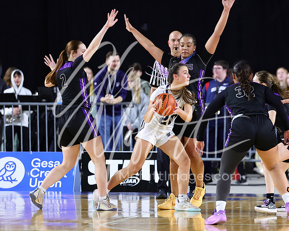 VNN_20240228_Lake_Stevens_v_gonzaga_prep_Girls_state_BB_1682