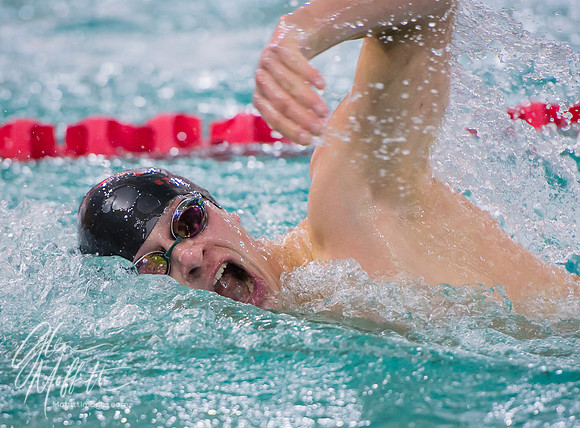 20170210-02.10.17 Wesco 4A Dist Swim Semis GDM-113
