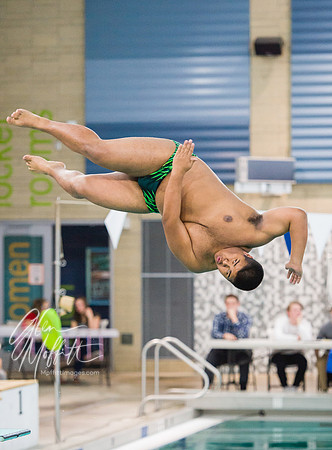 20170211-02.11.17 Wesco 4A Dist Swim Finals GDM-67